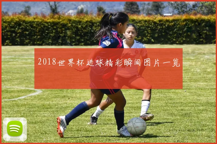 2018世界杯进球精彩瞬间图片一览