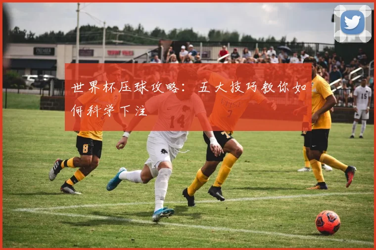 世界杯压球攻略：五大技巧教你如何科学下注