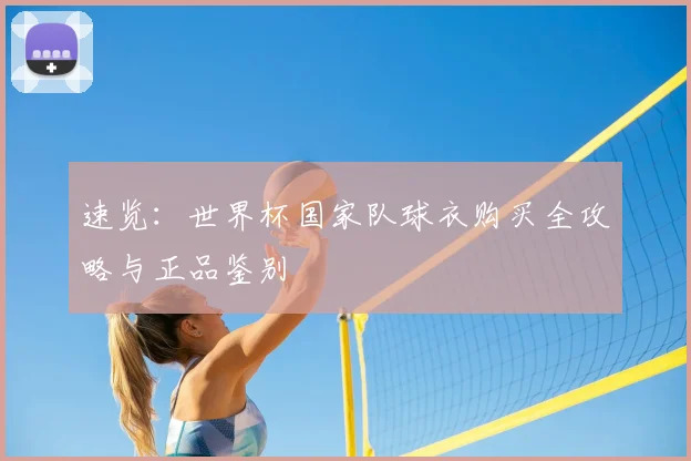 速览：世界杯国家队球衣购买全攻略与正品鉴别