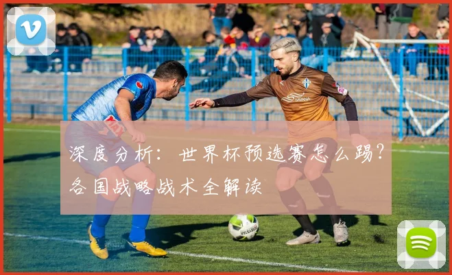 深度分析：世界杯预选赛怎么踢？各国战略战术全解读