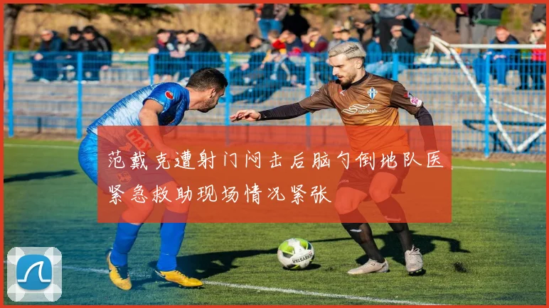 范戴克遭射门闷击后脑勺倒地队医紧急救助现场情况紧张