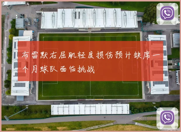 布雷默右屈肌轻度损伤预计缺席一个月球队面临挑战