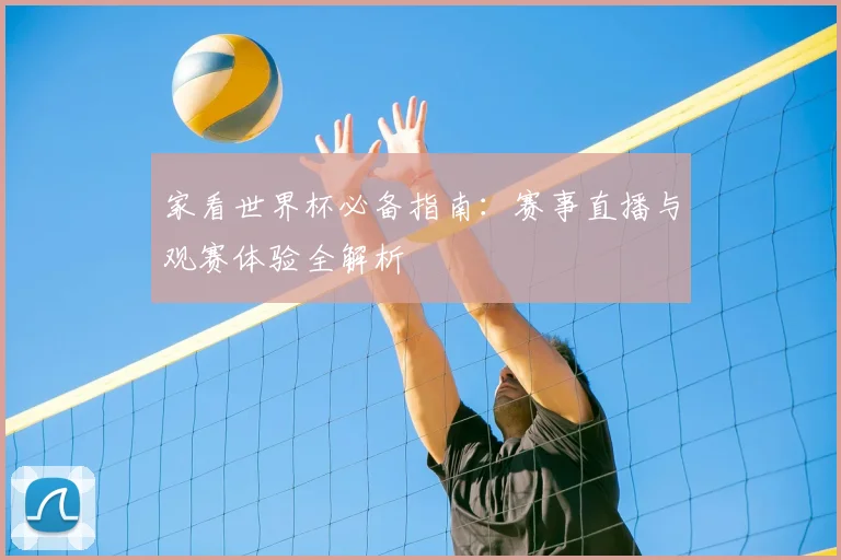 家看世界杯必备指南：赛事直播与观赛体验全解析