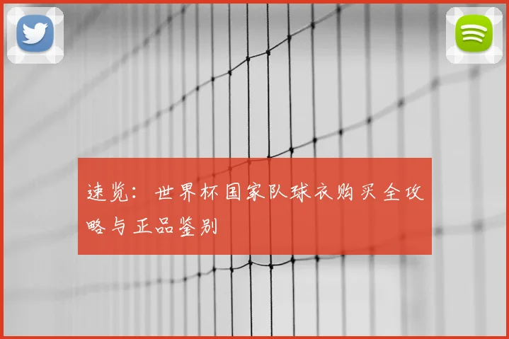 速览:世界杯国家队球衣购买全攻略与正品鉴别